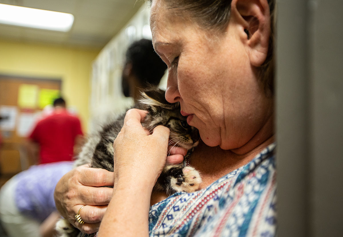 Animal Shelter